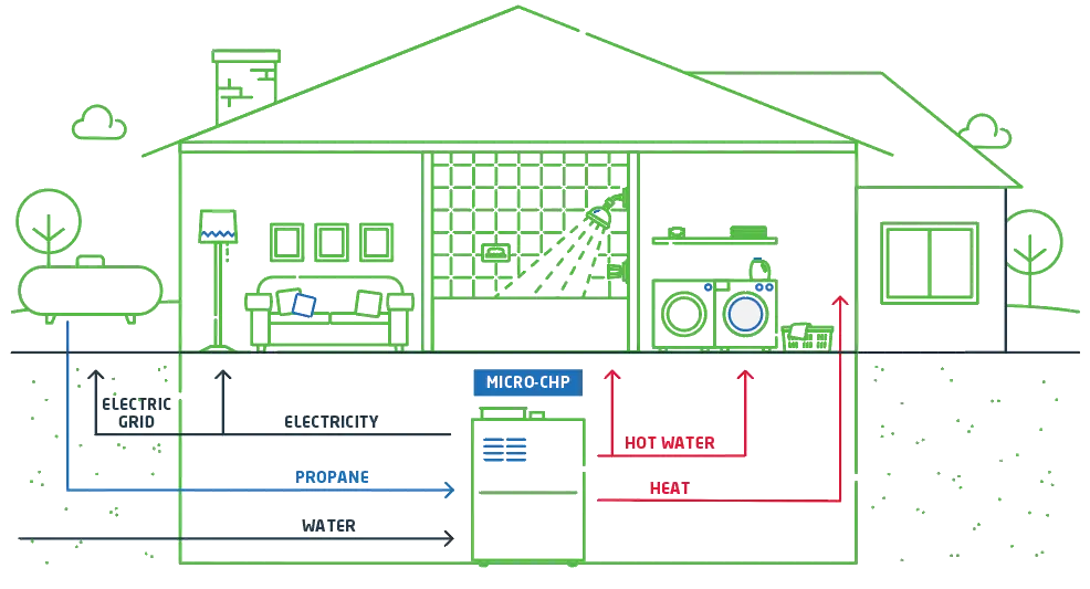 Tankless water heater